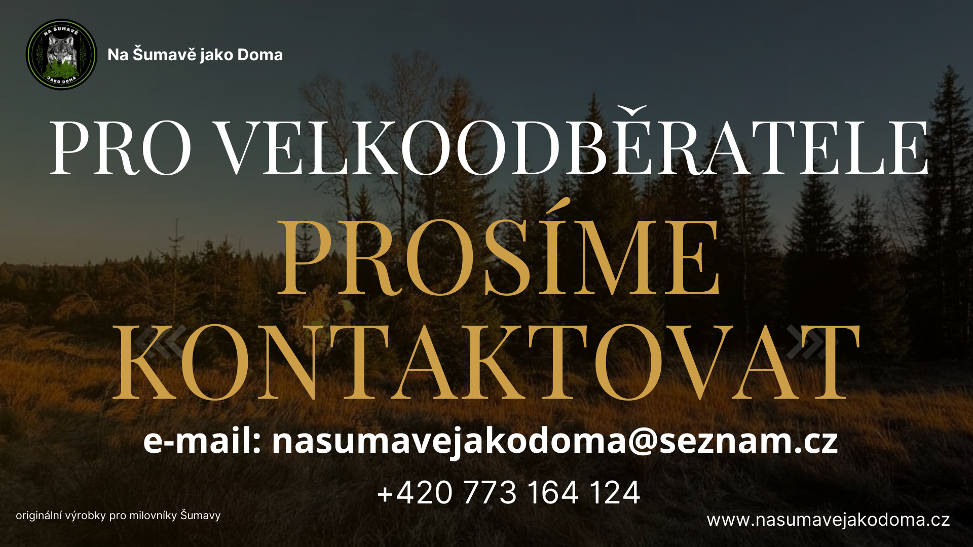 Brown-Gold-Elegant-Lawyer-Video_20241110_232242_0000.png